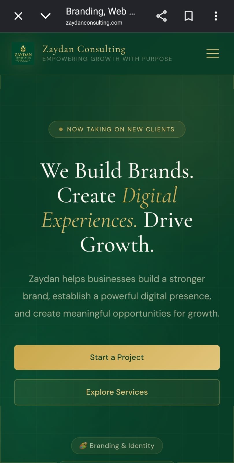 Zaydan Consulting brand and website case study